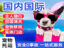 武宿机场邮寄国际宠物托运 【国